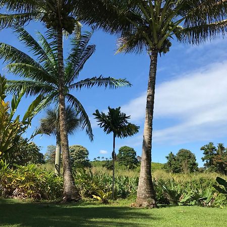 Island Goode'S - Luxury Adult Only Accommodation Near Hilo Papaikou Екстериор снимка