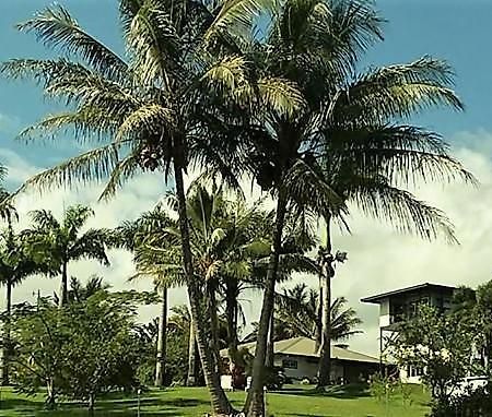 Island Goode'S - Luxury Adult Only Accommodation Near Hilo Papaikou Екстериор снимка