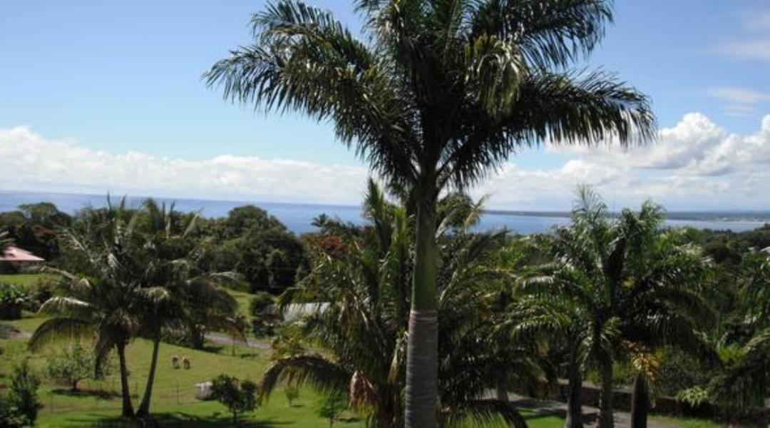 Island Goode'S - Luxury Adult Only Accommodation Near Hilo Papaikou Екстериор снимка