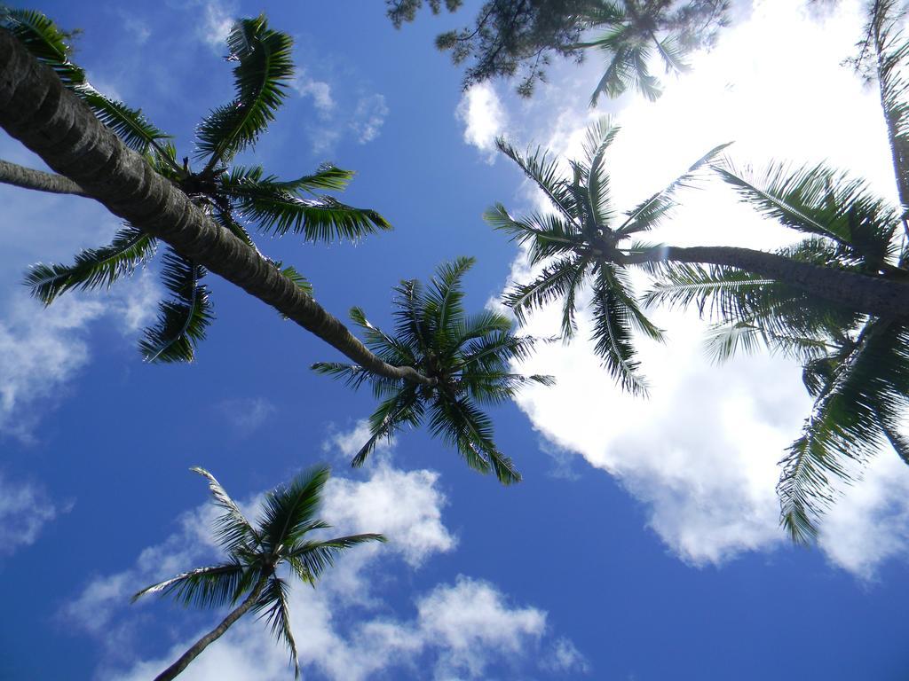 Island Goode'S - Luxury Adult Only Accommodation Near Hilo Papaikou Екстериор снимка
