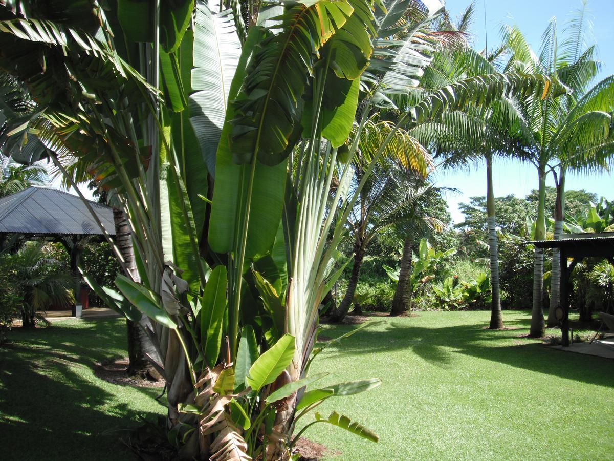Island Goode'S - Luxury Adult Only Accommodation Near Hilo Papaikou Екстериор снимка