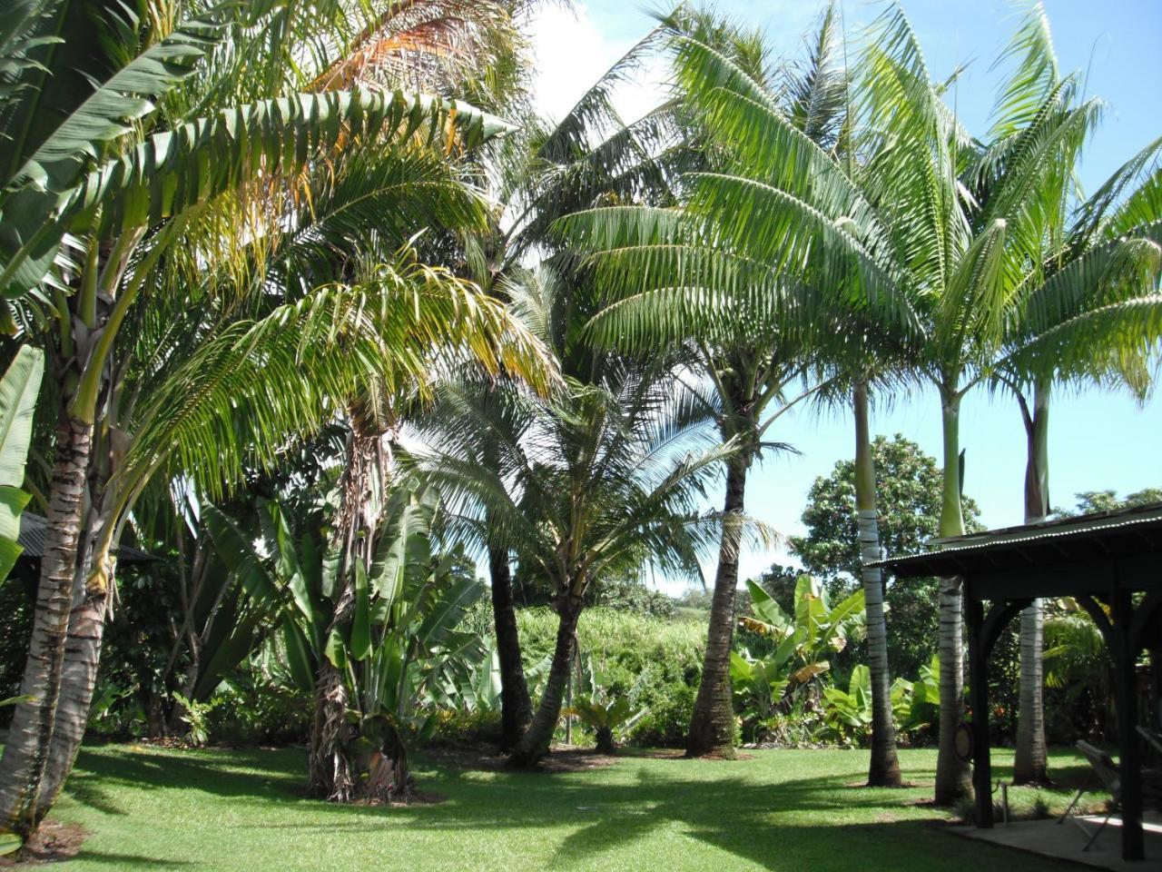 Island Goode'S - Luxury Adult Only Accommodation Near Hilo Papaikou Екстериор снимка