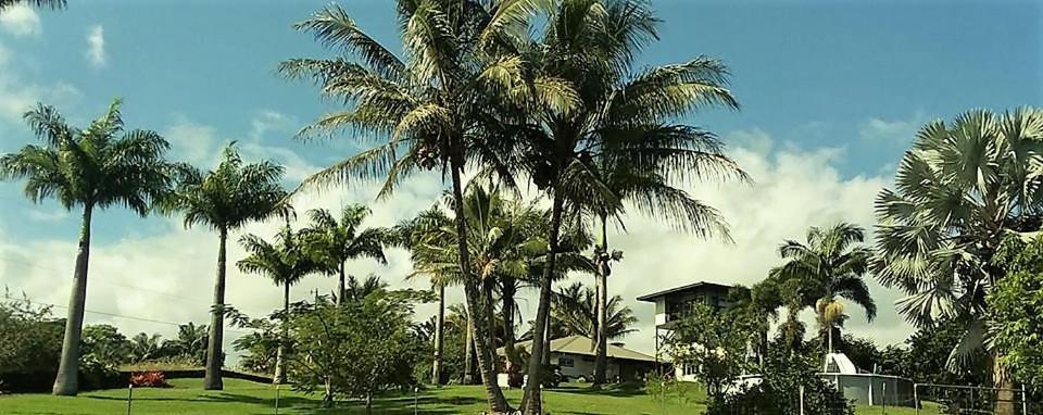 Island Goode'S - Luxury Adult Only Accommodation Near Hilo Papaikou Екстериор снимка